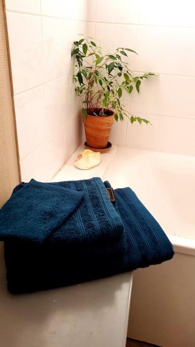 Simplicite Et Calme En Appartement A อีซัวร์ ภายนอก รูปภาพ